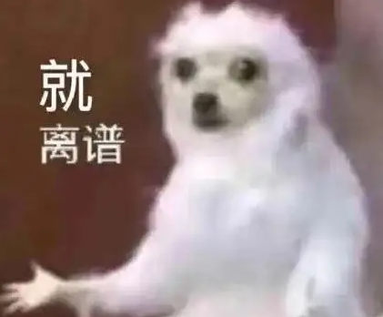 外挂网站